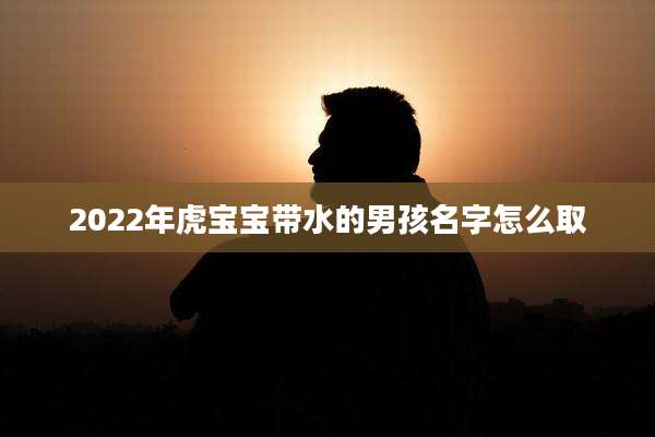 2022年虎宝宝带水的男孩名字怎么取