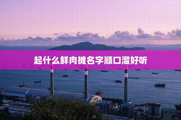 起什么鲜肉摊名字顺口溜好听