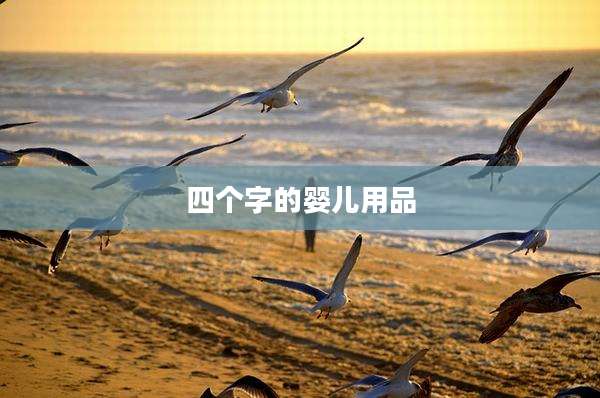 四个字的婴儿用品