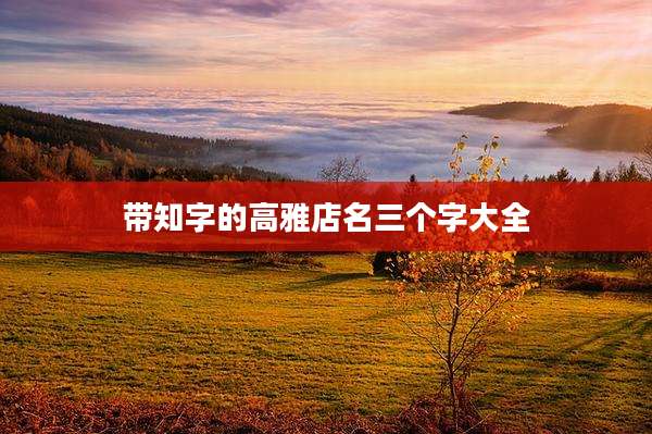带知字的高雅店名三个字大全