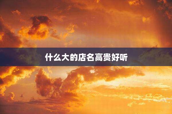 什么大的店名高贵好听