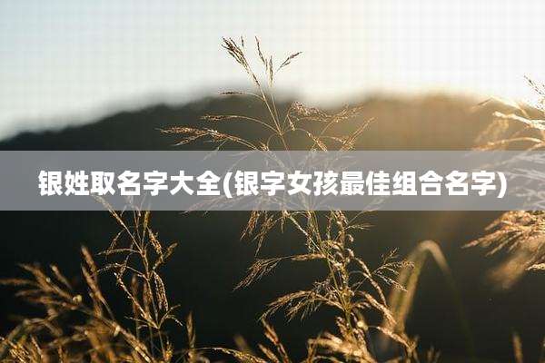 银姓取名字大全(银字女孩最佳组合名字)