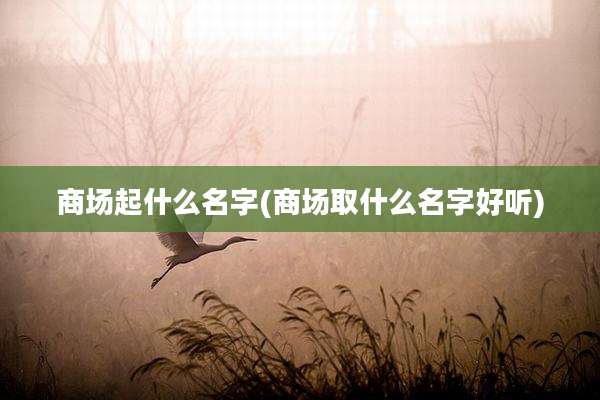 商场起什么名字(商场取什么名字好听)