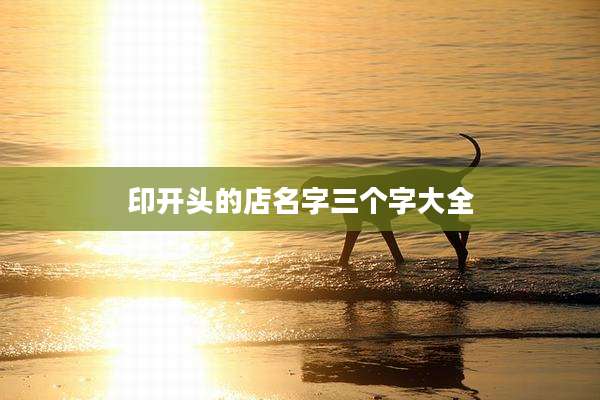印开头的店名字三个字大全