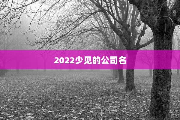 2022少见的公司名