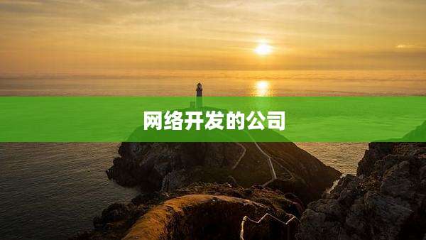 网络开发的公司