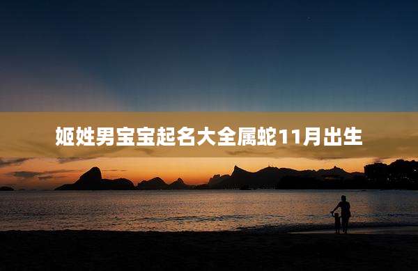 姬姓男宝宝起名大全属蛇11月出生