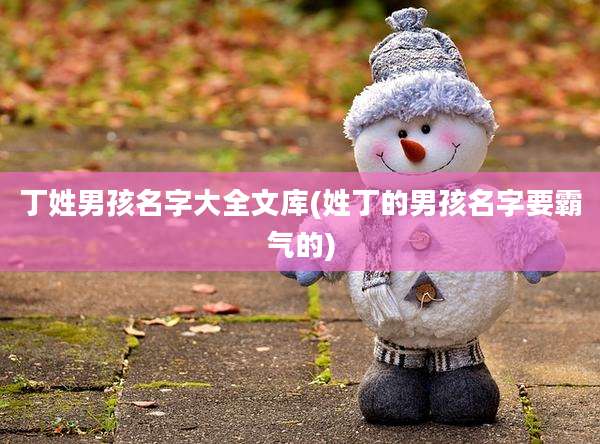 丁姓男孩名字大全文库(姓丁的男孩名字要霸气的)