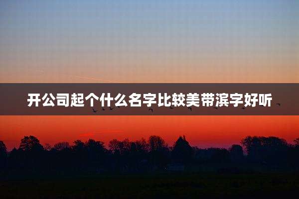 开公司起个什么名字比较美带滨字好听