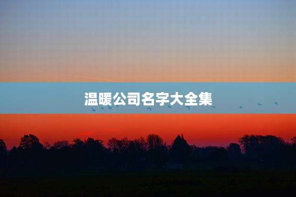 温暖公司名字大全集