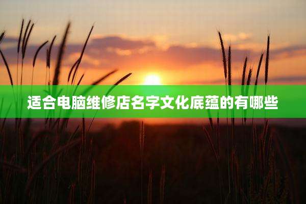 适合电脑维修店名字文化底蕴的有哪些