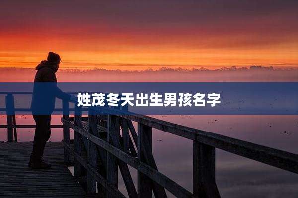 姓茂冬天出生男孩名字