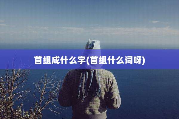 首组成什么字(首组什么词呀)