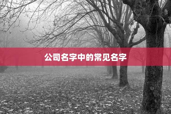 公司名字中的常见名字