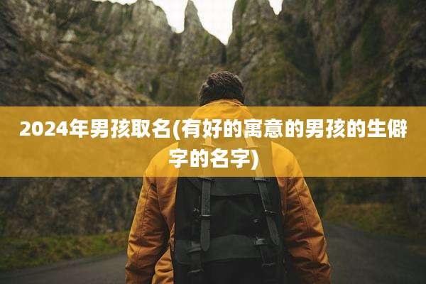 2024年男孩取名(有好的寓意的男孩的生僻字的名字)
