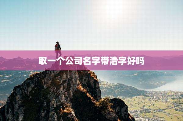 取一个公司名字带浩字好吗