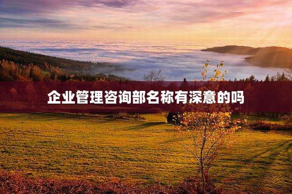 企业管理咨询部名称有深意的吗