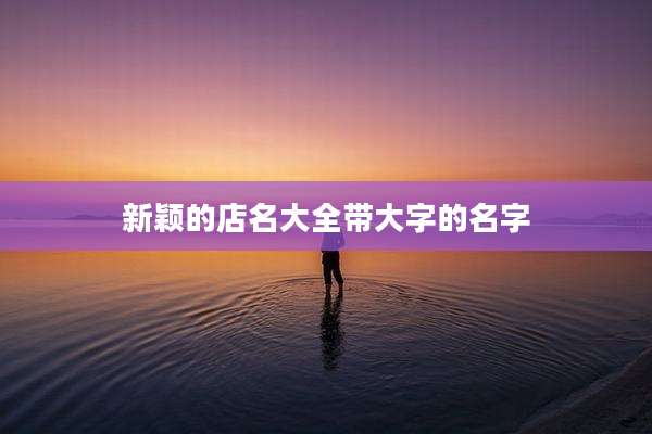 新颖的店名大全带大字的名字