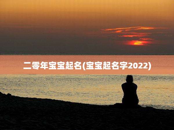 二零年宝宝起名(宝宝起名字2022)