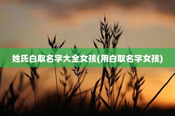 姓氏白取名字大全女孩(用白取名字女孩)