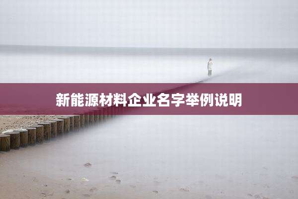 新能源材料企业名字举例说明