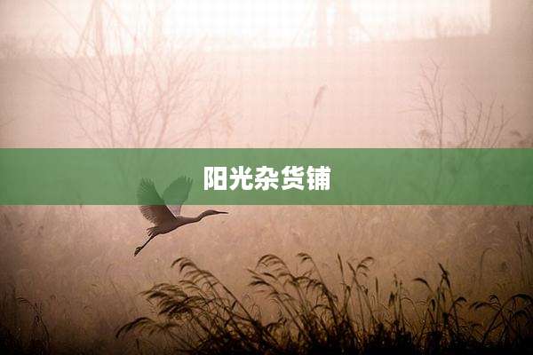 阳光杂货铺