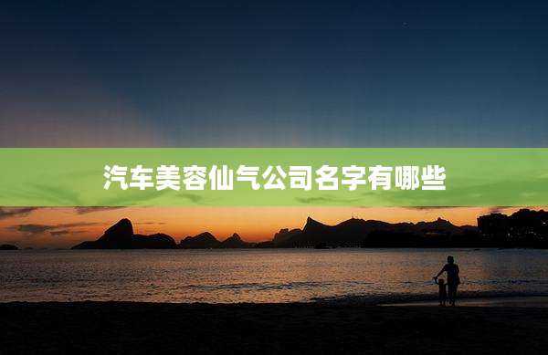 汽车美容仙气公司名字有哪些