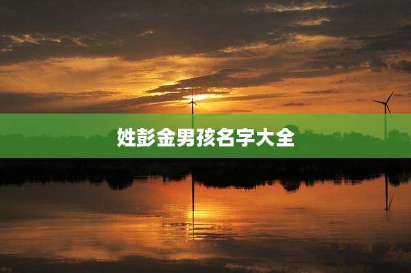 姓彭金男孩名字大全