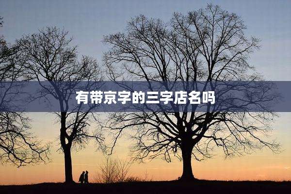 有带京字的三字店名吗