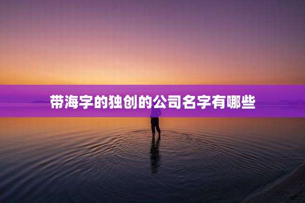 带海字的独创的公司名字有哪些