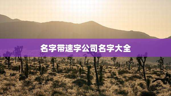 名字带速字公司名字大全