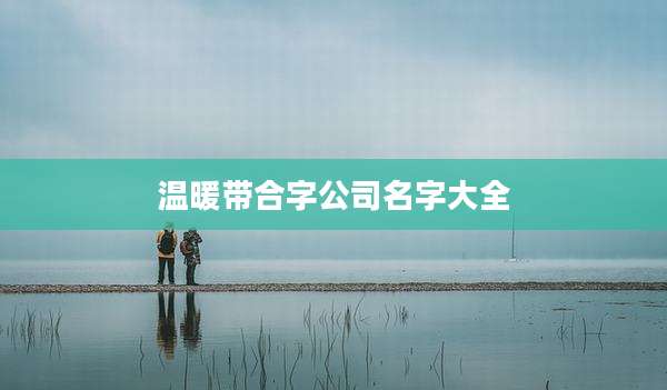 温暖带合字公司名字大全