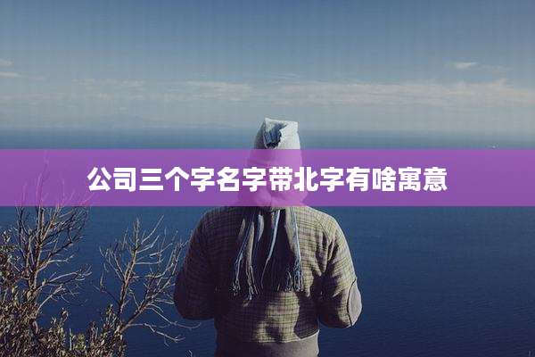 公司三个字名字带北字有啥寓意