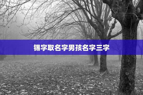锡字取名字男孩名字三字