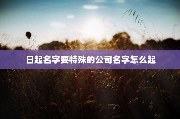 日起名字要特殊的公司名字怎么起