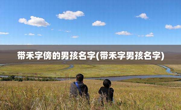 带禾字傍的男孩名字(带禾字男孩名字)