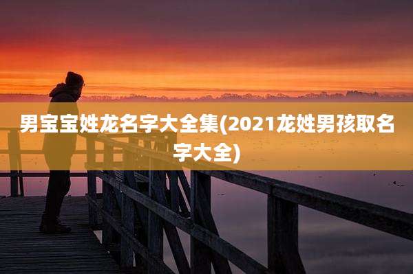 男宝宝姓龙名字大全集(2021龙姓男孩取名字大全)