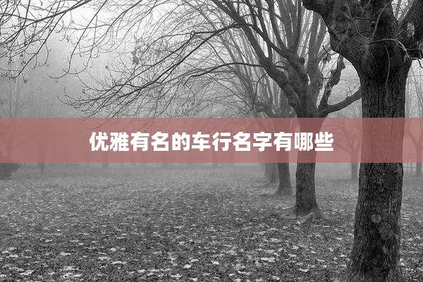 优雅有名的车行名字有哪些