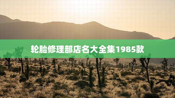 轮胎修理部店名大全集1985款