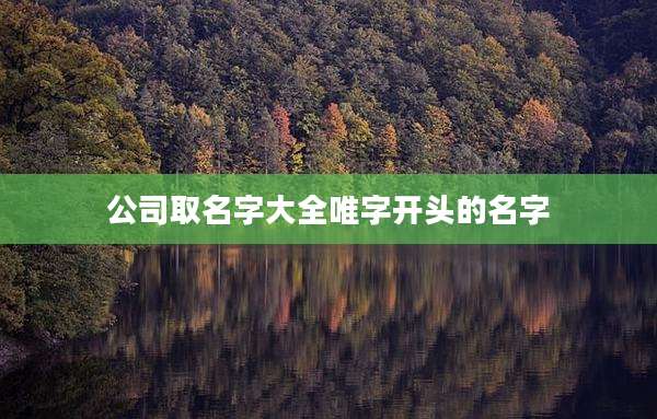 公司取名字大全唯字开头的名字