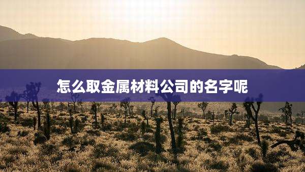 怎么取金属材料公司的名字呢