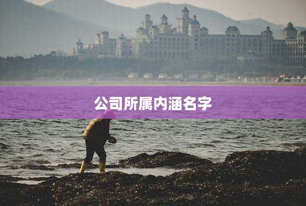 公司所属内涵名字