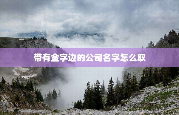 带有金字边的公司名字怎么取