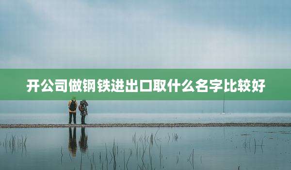 开公司做钢铁进出口取什么名字比较好