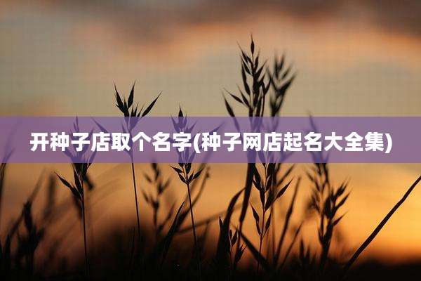 开种子店取个名字(种子网店起名大全集)