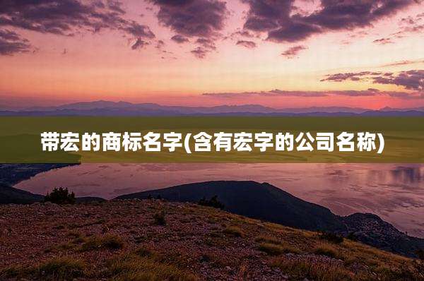 带宏的商标名字(含有宏字的公司名称)