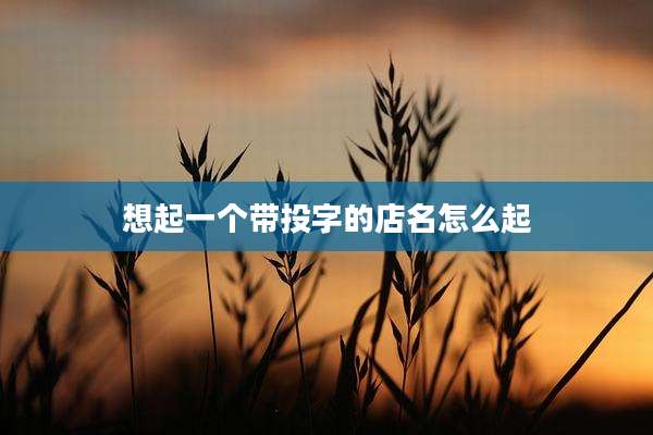 想起一个带投字的店名怎么起