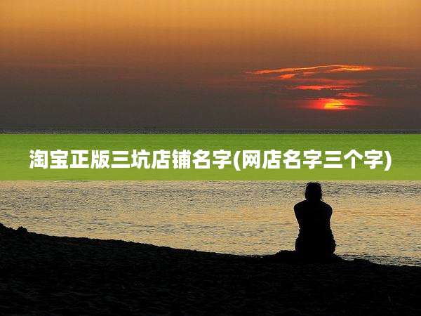淘宝正版三坑店铺名字(网店名字三个字)