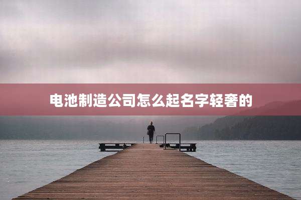 电池制造公司怎么起名字轻奢的