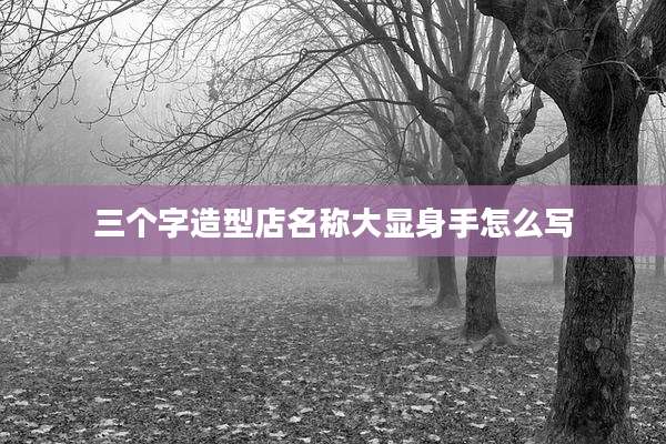 三个字造型店名称大显身手怎么写